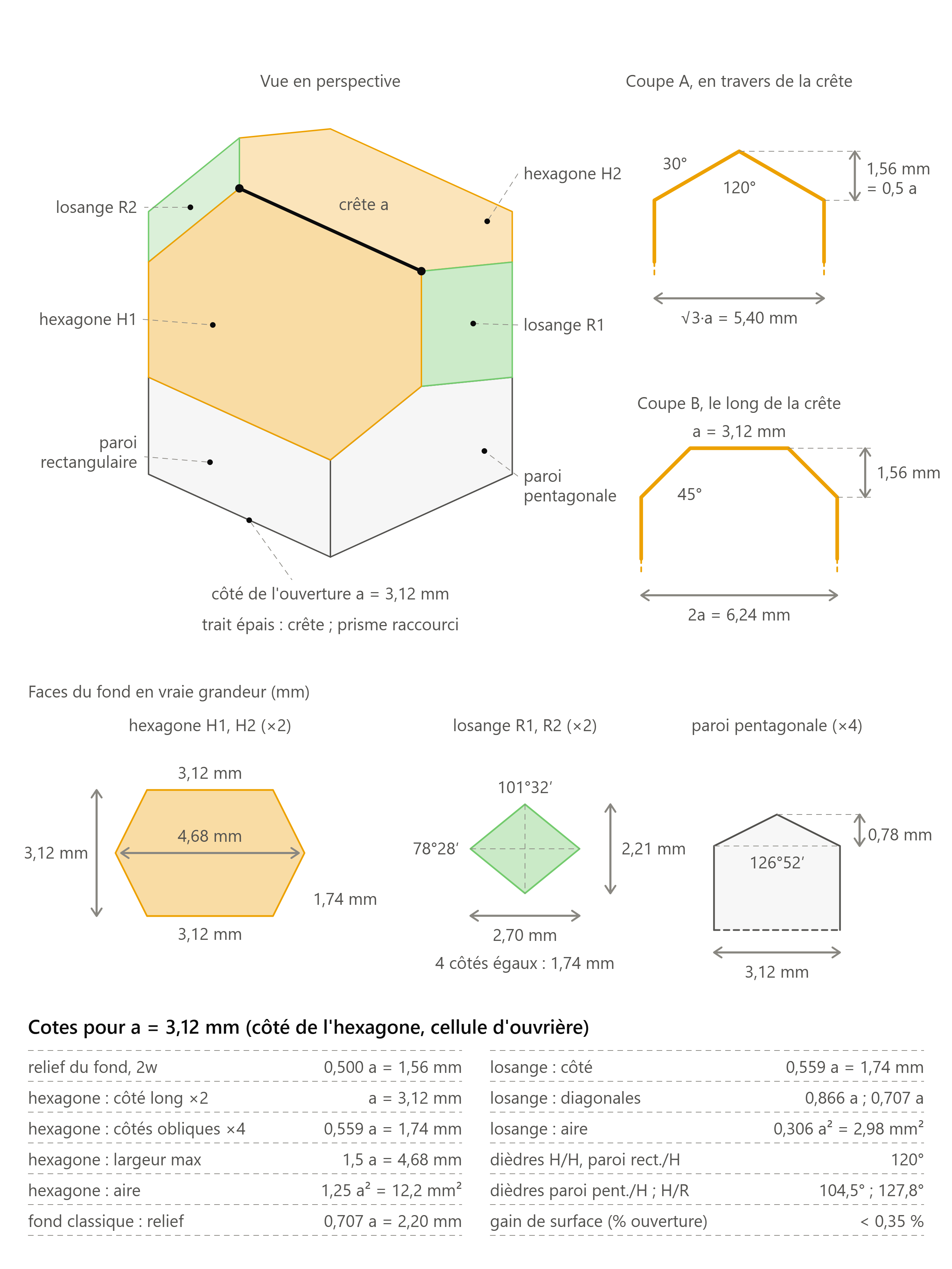 alveole fejes toth 2 hexagones 2 losanges